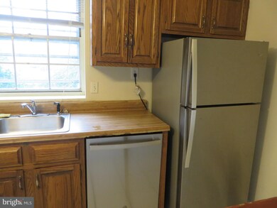 16 Ancell St, Alexandria, VA 22305 - photo 5