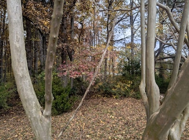 0 Ramada St SE, Huntsville, AL 35802 - photo 2