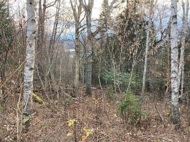 52 Burns Rd, Pittsburg, NH 03592 - photo 2