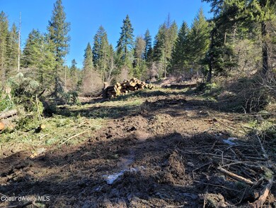 LT B Blk 1 Idaho 97, Harrison, ID 83833 - photo 2