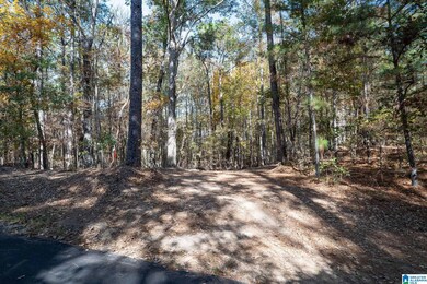 284 Nichols Rd, Chelsea, AL 35043 - photo 7