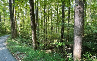 Additional View