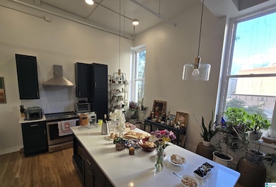 300 20th St N unit 201, Birmingham, AL 35203 - photo 7