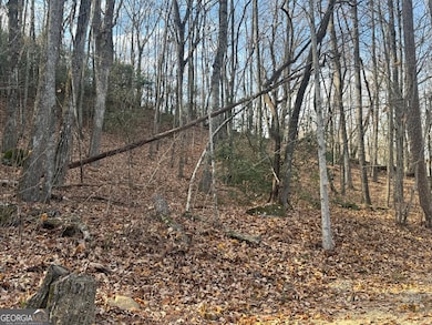 0 Geneva Place unit 10648186, Sautee Nacoochee, GA 30571 - photo 4