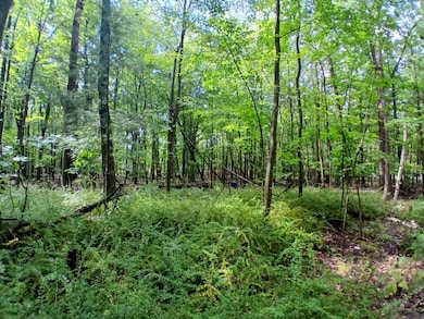 4756 N Ridge Rd, Mears, MI 49436 - photo 2