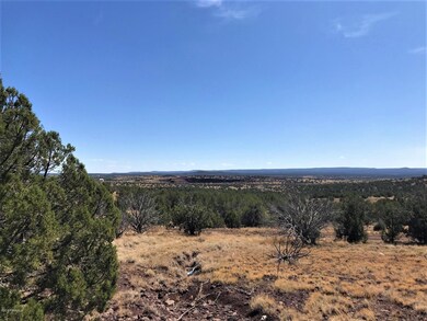 1200 W Warren Way, Ash Fork, AZ 86320 - photo 5