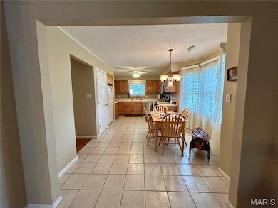 302 E Green Tree Ln, Farmington, MO 63640 - photo 3