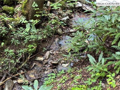 TBD Bryan Davis Rd, Creston, NC 28615 - photo 6