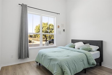 1132 Spring Gulch Ln, Georgetown, TX 78628 - photo 5