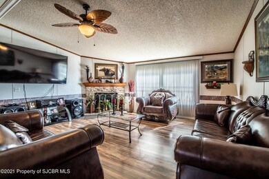 950 Natane Ave, Farmington, NM 87401 - photo 5