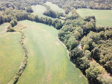 3965 S Co Road 350 E, Winslow, IN 47598 - photo 3