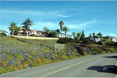 Lot is completely fenced and goes down to street l