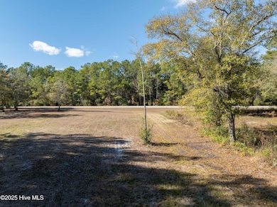 L1 Virginia Ln, Sneads Ferry, NC 28460 - photo 5