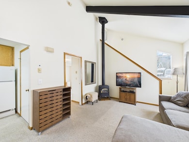 216 Pinewood Ln unit A3, Ketchum, ID 83340 - photo 6