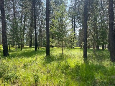 203 Eagle Dr, Chewelah, WA 99109 - photo 5