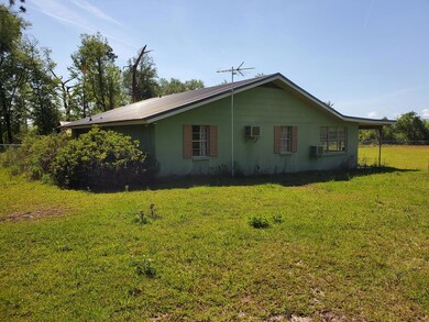 7667 Paradise Dr, Donalsonville, GA 39845 - photo 4