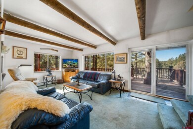 900 Spring Rd, Durango, CO 81303 - photo 3