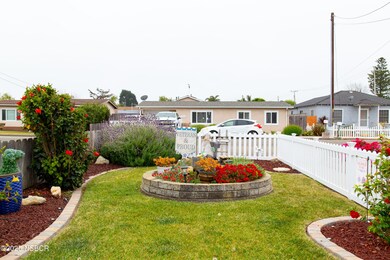 1431 Nice- front pro pic 5- front lookin