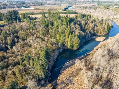 0 Eadon Rd unit 23499351, Toledo, WA 98591 - photo 3