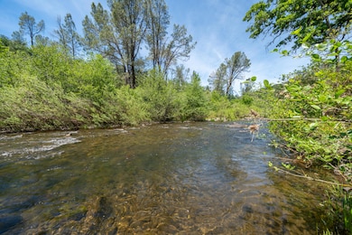 Kayak to the River