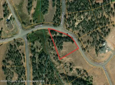 Colorado Building Lot Collbran Colo 2