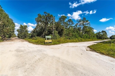 0 Sanctuary Rd unit 225078396, Naples, FL 34120 - photo 7