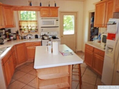 21 Simmons St, Millerton, NY 12546 - photo 6