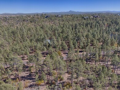 1840 S Bristlecone Dr, Show Low, AZ 85901 - photo 3