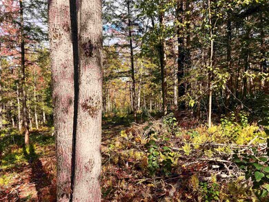 00 Duck Pond Rd, West Glover, VT 05822 - photo 4