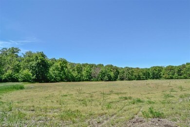 9400 Kruger Rd, Union Pier, MI 49129 - photo 7