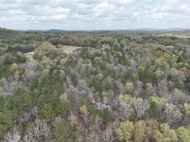 0 Berney Station Rd unit 23115946, Talladega, AL 35160 - photo 5