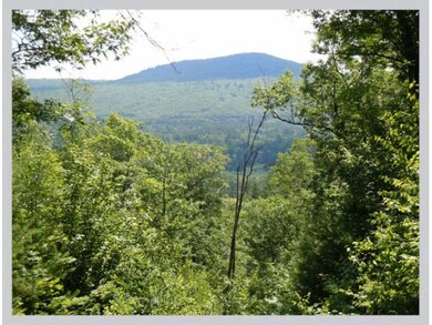 #19 Ski Lift Ln, Plymouth, NH 03264 - photo 5