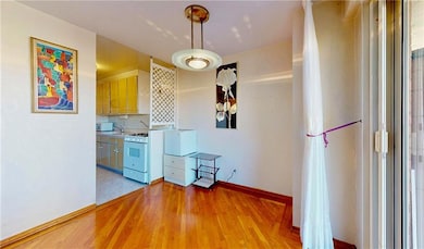 Trump Village unit 15H, Brooklyn, NY 11224 - photo 5