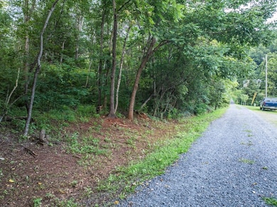 Tbd Ridge St unit LotWP001, Lovingston, VA 22949 - photo 4