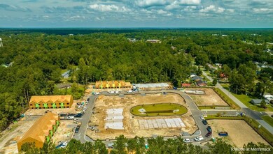 Townes Drone Shots _4