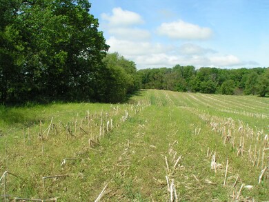 2015 Jefferson Rd, Ionia, MI 48846 - photo 4