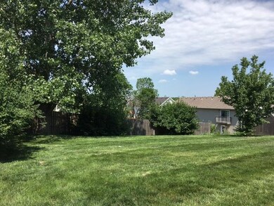 large backyard