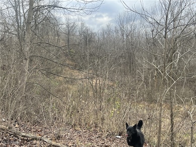 231 & 265 Big Oak Rd, Malta, OH 43787 - photo 4