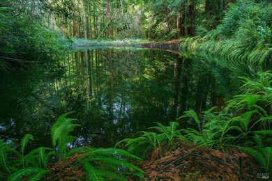 unlisted-address, Mendocino, CA 95460 - photo 7