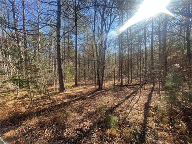 00 Cassidy Bridge and Buckeye Ridge Rd, Mountain  Rest, SC 29664 - photo 6