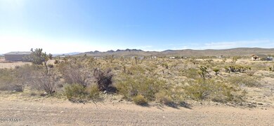 16773 Pierce Ferry Rd unit 116, Dolan Springs, AZ 86441 - photo 2