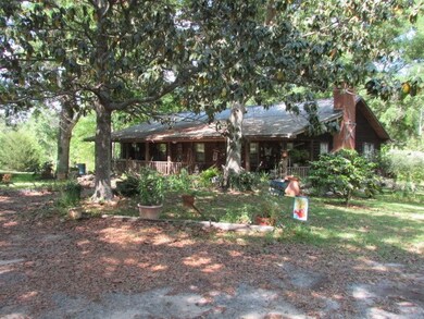 4606 Georgia 65, Pelham, GA 31779 - photo 2