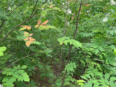 8290 E Boca Vista Trail unit 21&22, Traverse City, MI 49684 - photo 5