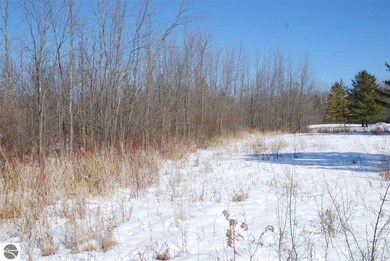 0 Alabaster Rd, Tawas City, MI 48763 - photo 4