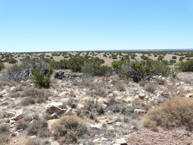 THE RANCH MAY 2018 053