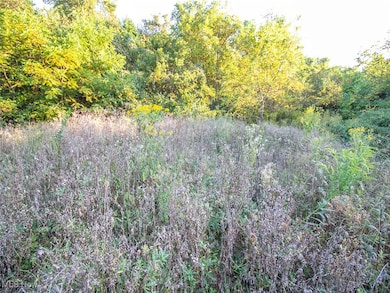 8 acres Whiskey Run Rd, Quaker City, OH 43773 - photo 6