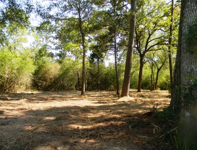 0 Old Joseph Rd, Hockley, TX 77447 - photo 4