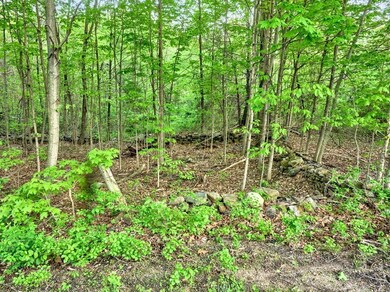 0 E Hill Rd, Monson, MA 01057 - photo 2