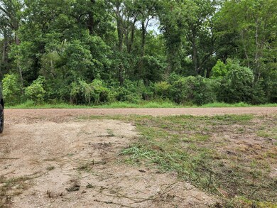 0 Tierra Grande Dr unit 67833413, Needville, TX 77461 - photo 4