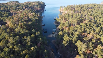 LOT 7 Lighthouse Point, Lincolnton, GA 30817 - photo 7